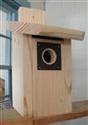 Pine Flat-roof Bluebird House - click to enlarge photo Pine Flat Roof Bluebird House